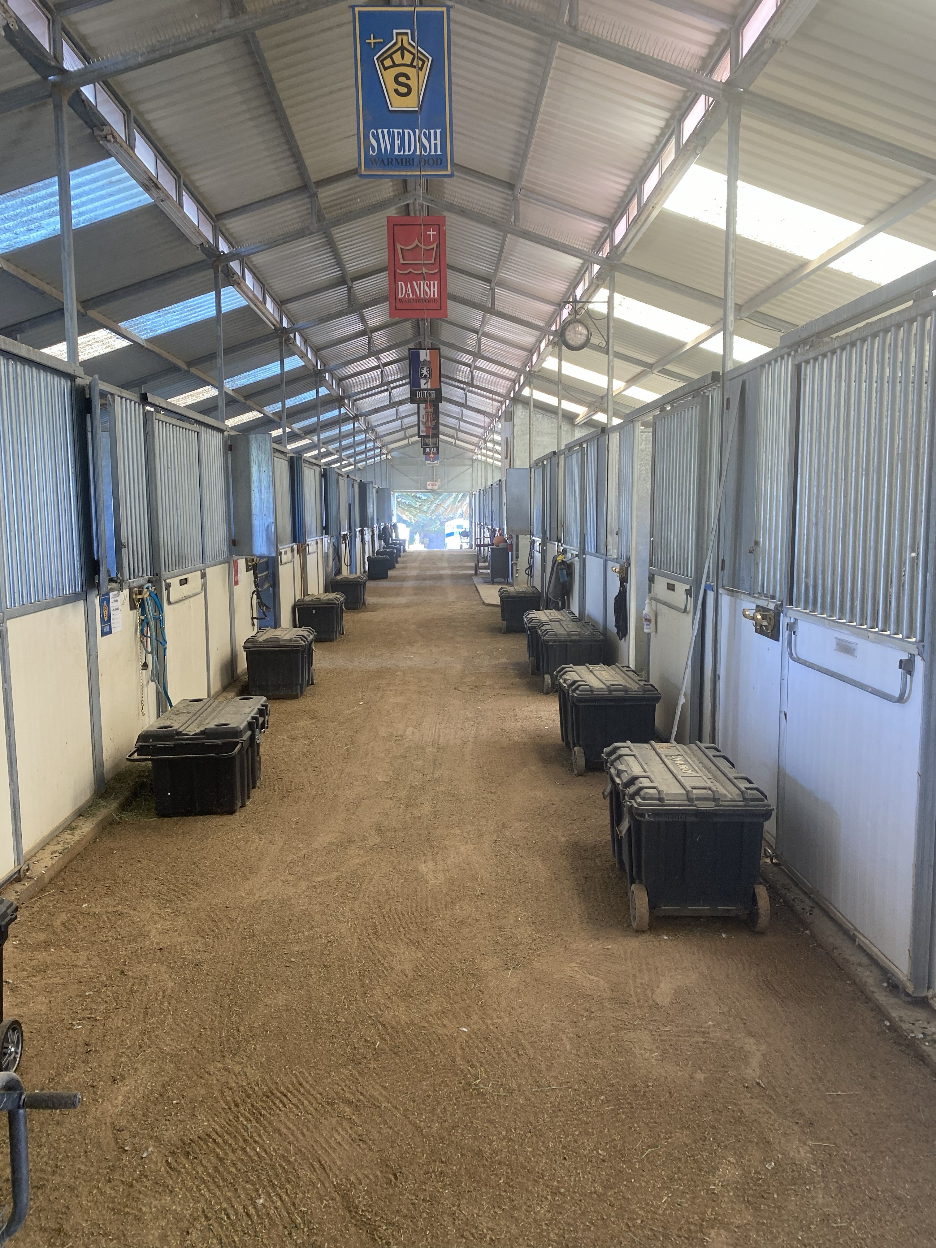 Barn aisle with international breed banners